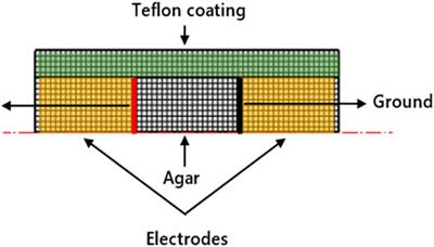 A Numerical Approach to Analyze the Performance of a PEF-Ohmic Heating System in Microbial Inactivation of Solid Food